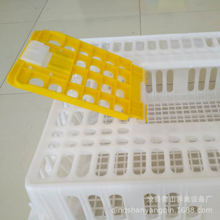 �Bֳ�u���Z�g�����D�� �u���Z�g���\ݔ�\ �u�� �u�\ �u���D��