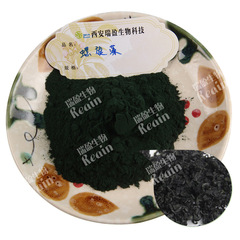 鈍頂螺旋藻粉 99% 螺旋藻蛋白粉 螺旋藻提取物 鈍頂螺旋藻粉1kg起
