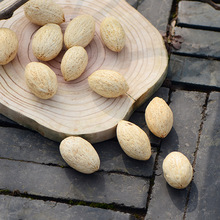 ��ľâ������Ȼ�ɹ��ɻ�����������޹����ɭϵ��Ȼ�L��ƿ��ɻ�