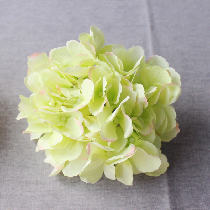 라이트 핑크 그린