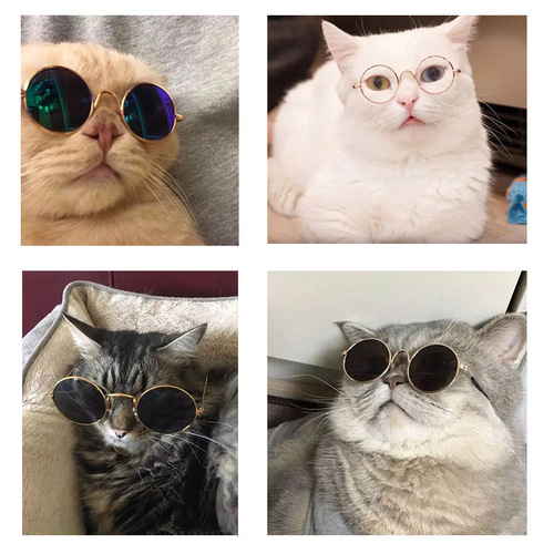 Pet Glasses Cat Supplies Creative Trendy Dog Pet Supplies New and Funny Funny Cat Sunglasses Wholesale