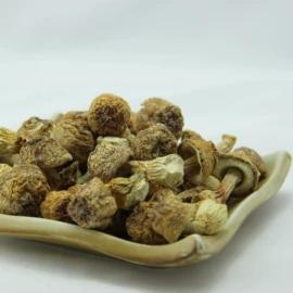 其他干货;银耳;姬松茸
