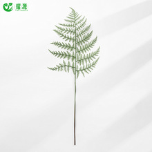 新款柏叶 仿真花室内仿真植物墙松蕨叶婚庆家居装饰 插花花艺