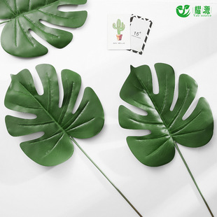 ���z�������~ ����ֲ����滨�ٻ� �Ҿ��b� ����ֲ� �~�ӻ���