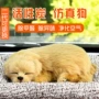 除异味车内内饰仿真狗竹炭包