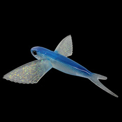 Small Fly Fish Airplane Fish 17cm 66g Deep Sea Lure Bait, Fish Bait Boat Lure Soft Bait Tuna Bait