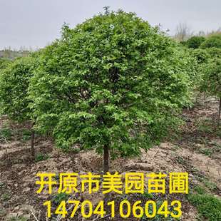 �����N�ۣ���Ʒ��l���� ���Ǘ��� Ҏ���Rȫ �r�񃞻� �������l