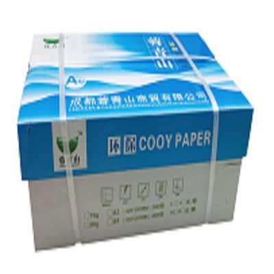 Manufactor lush mountain a4 Copy paper Full container Printing paper 4000 80g Office paper Draft Paper wholesale