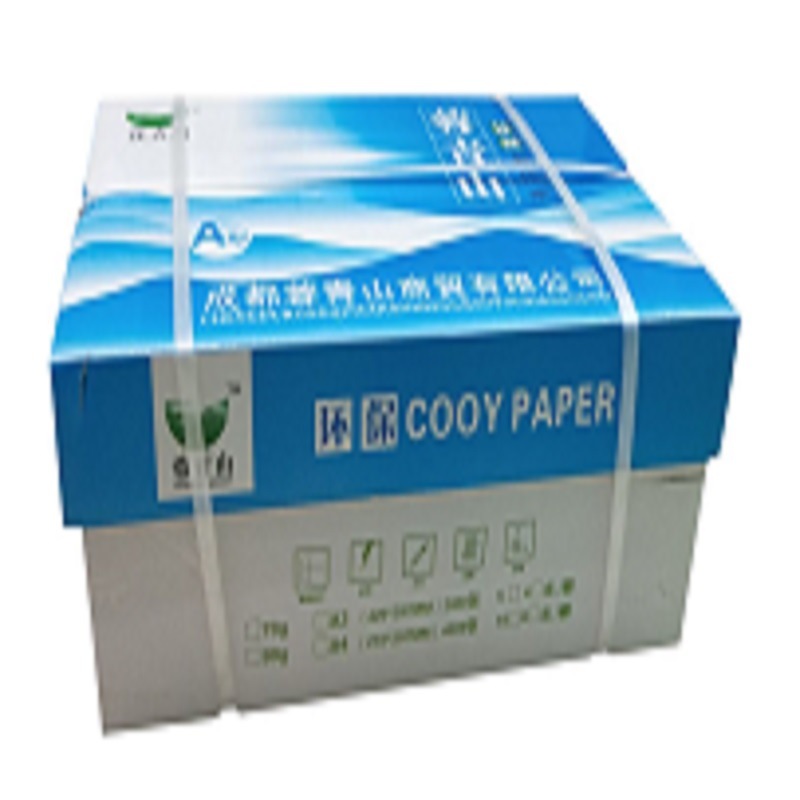 Manufactor lush mountain a4 Copy paper Full container Printing paper 4000 80g Office paper Draft Paper wholesale