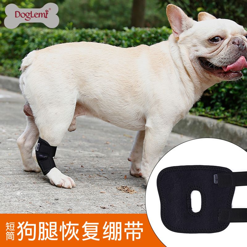 Собачья короткая трубка, помогающая ногам домашних животных, поврежденные суставными поясными ремнями Восстановление пояс.
