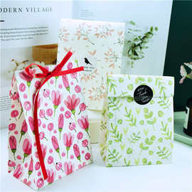 ins大容量礼品纸袋打包袋环保礼物收纳袋DIY烘焙点心袋 平口袋