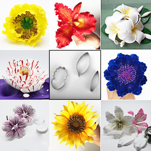 15�ͬ���Ͳ��P����ģ����ģ��Ӣʽ�ǻ������~��ģ#0958A-O