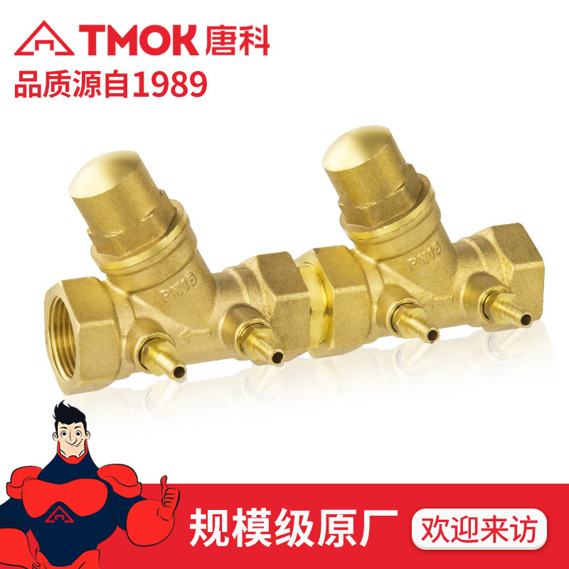 唐科阀门倒流防止器防污隔断管道排污阀门内丝螺纹黄铜倒流防止器