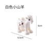 White lamb