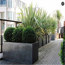 �M����ʽ�Ƅ��L���οɽ�����⻨�� ͸�ⲻ��׃�������V���� ����