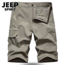 JEEP SPIRITɳѝb¿ѝaɳѝ΢ѝ2669