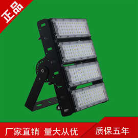 厂家直销 Iled防水投光灯超亮高杆球场灯 户外亮化模组隧道泛光灯