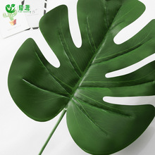 ���z�������~ ����ֲ����滨�ٻ� �Ҿ��b� ����ֲ� �~�ӻ���