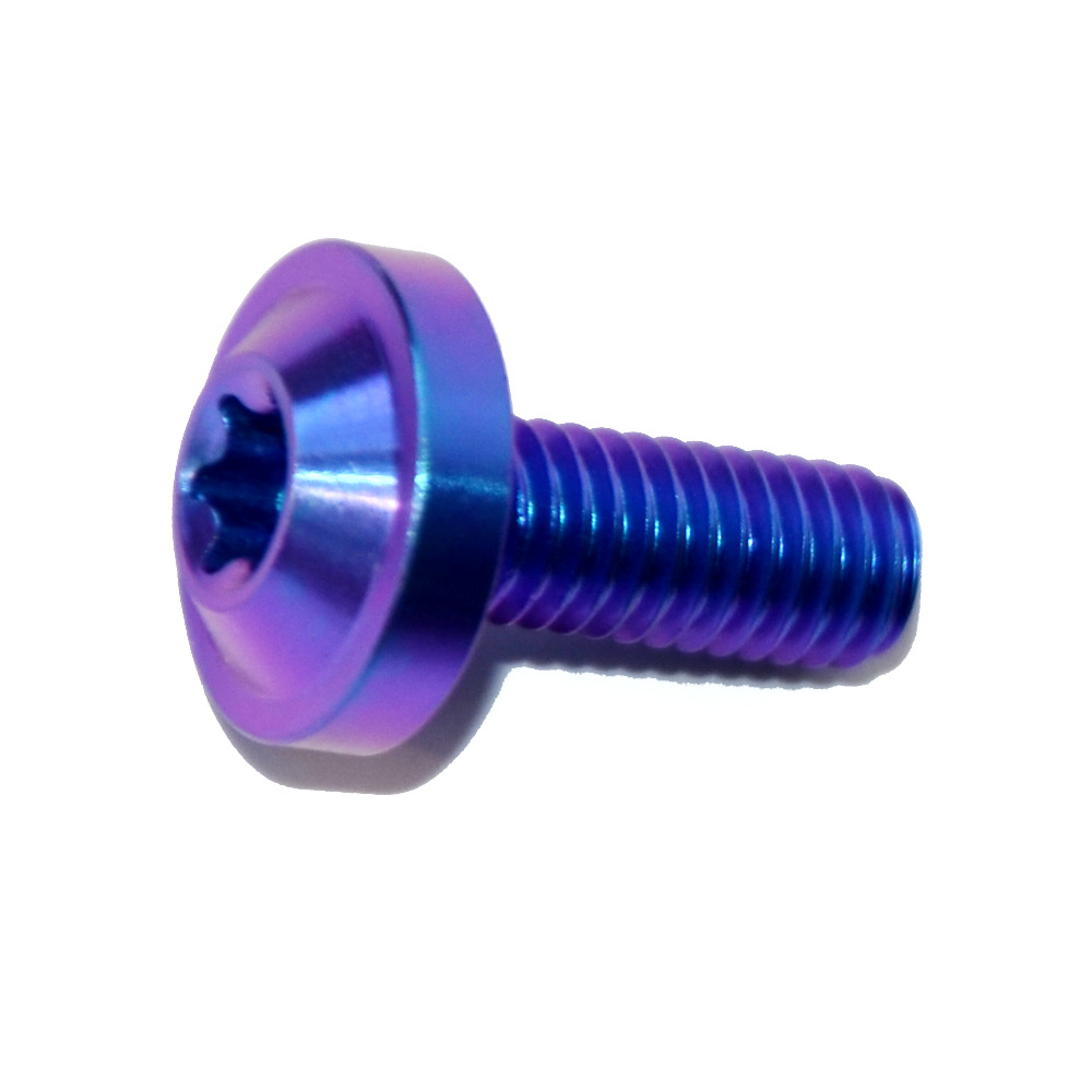 碟型内梅头钛合金螺丝 M6*10MM T30