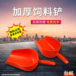�������P�Ӻ��Bֳ���� �F���Z�R����P���] �B�i�B�u�O�����M����