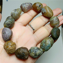 ���������Ƹ��ԭʯ������۬����朽��}�����ִ����l