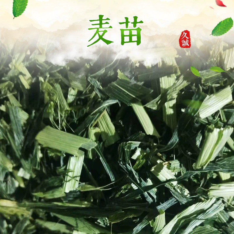 Производители поставляют на складе обезвоженные саженцы пшеницы