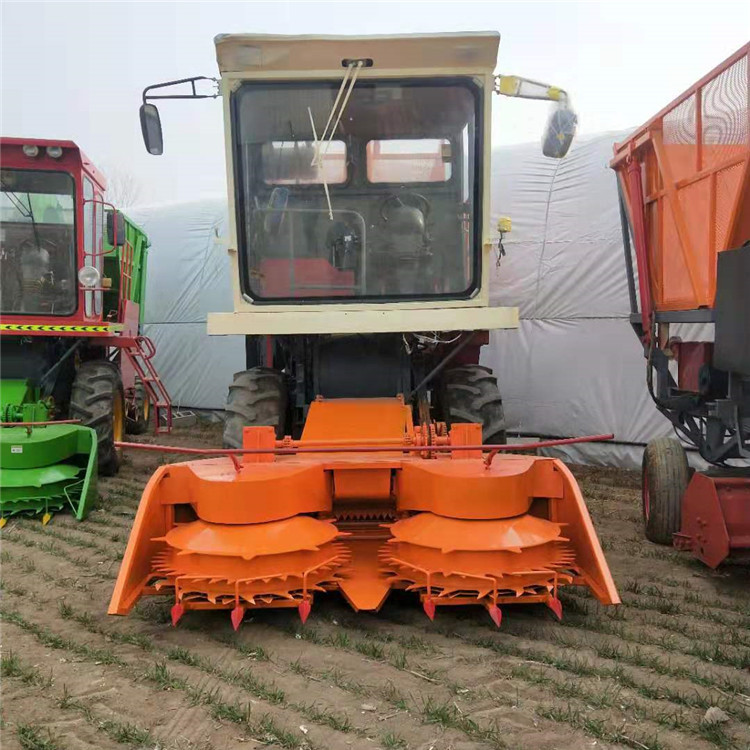 甜象草秸秆粉碎回收机 自走式苜蓿草收割机 大型秸秆青储机 厂家