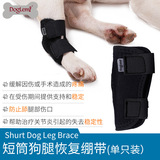 Собачья короткая трубка, помогающая ногам домашних животных, поврежденные суставными поясными ремнями Восстановление пояс.