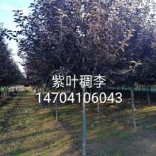 ���~����G�� ���~�����r ���~����r�� ���~����С��