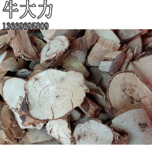 ţ����  ɽɏź �������R�i�_�� ���R�� �������֦ ��Ѭ������l