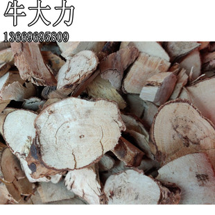 ţ����  ɽɏź �������R�i�_�� ���R�� �������֦ ��Ѭ������l