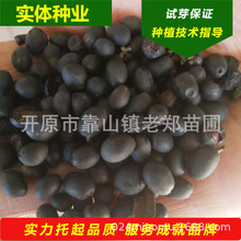 lˮDNС~ŮؑN|GˮϞѿrNֲg