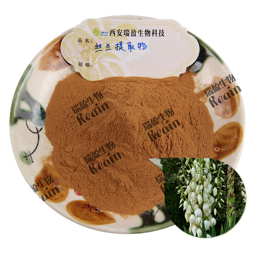 供应丝兰提取物10:1比例 丝兰皂甙 丝兰粉 丝兰提取物1kg起订