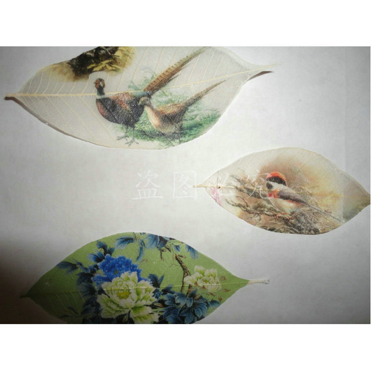 Yunnan Supply Vein Embossed Raw Material Design Rubber Vein Dried Flower Plant Specimen Bookmark Baffling Decorative Material
