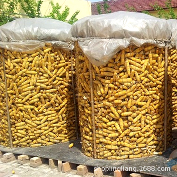 圈晾晒玉米网 厂家批发圈玉米网围玉米网铁丝网