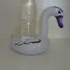 Small white goose