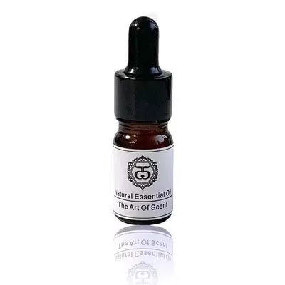 stone aromatherapy supplement liquid gypsum – Car Perfume Aromatherapy