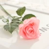 5#A shallow powder