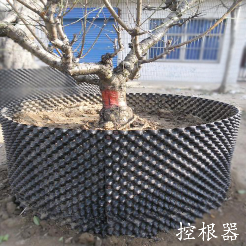 园林绿化植树用控根器 增根控根限根栽培容器 控根片 排水围树板