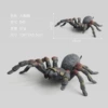 845 Big Spider 67G