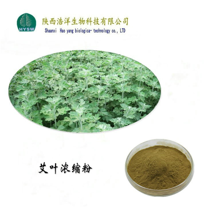 艾叶提取物原料 浩洋生物 萃取 水溶 艾草浸膏粉 艾叶黄酮 热销品
