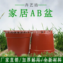 �S��ֱ���tɫ�A�λ��� AB��߅�� ��ݮ���� ������ �~�X�����ϻ���