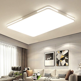 吸顶灯;商用吊线灯;其他LED光源