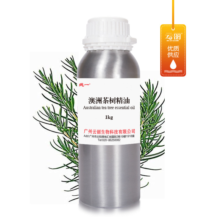 厂家直销 引种澳洲茶树精油  1公斤装    25公斤装