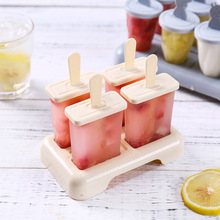 DIY雪糕模具冰格模具冰激凌模型冰盒塑料PP棒冰模具
