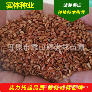 ���lɽ�G�ӷN�Ӗ|���ͺ������NԴɽ�����Ѵ�ѿ̎���lѿ�ʺ�ɽ����