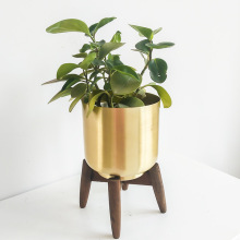 ���W�����Ҿ��b�Ʒ����[���҃ȿ͏d�Fˇľ�ܷN�̄նYƷ�Gֲ����