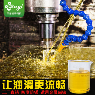 Ӣ���S�����l�͚�ζ�����F�������Ͳ��P����������и��؅^������