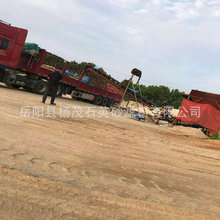 �����ߏ����T��ɰ �T��ɰ �^�V���T��ɰ