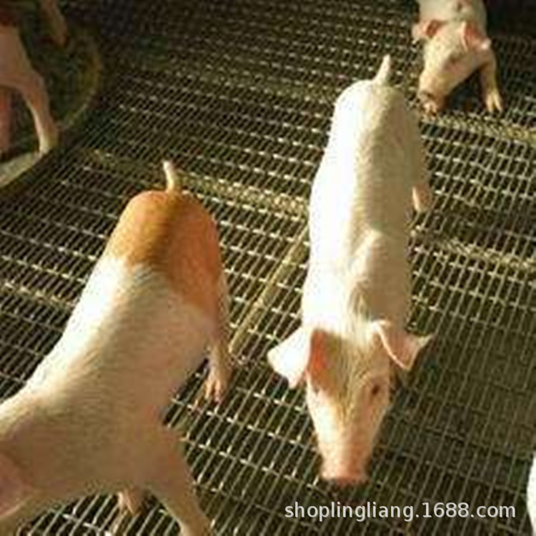 密目网 铁丝网 小轧花网镀锌钢丝网 批发镀锌方眼轧花网